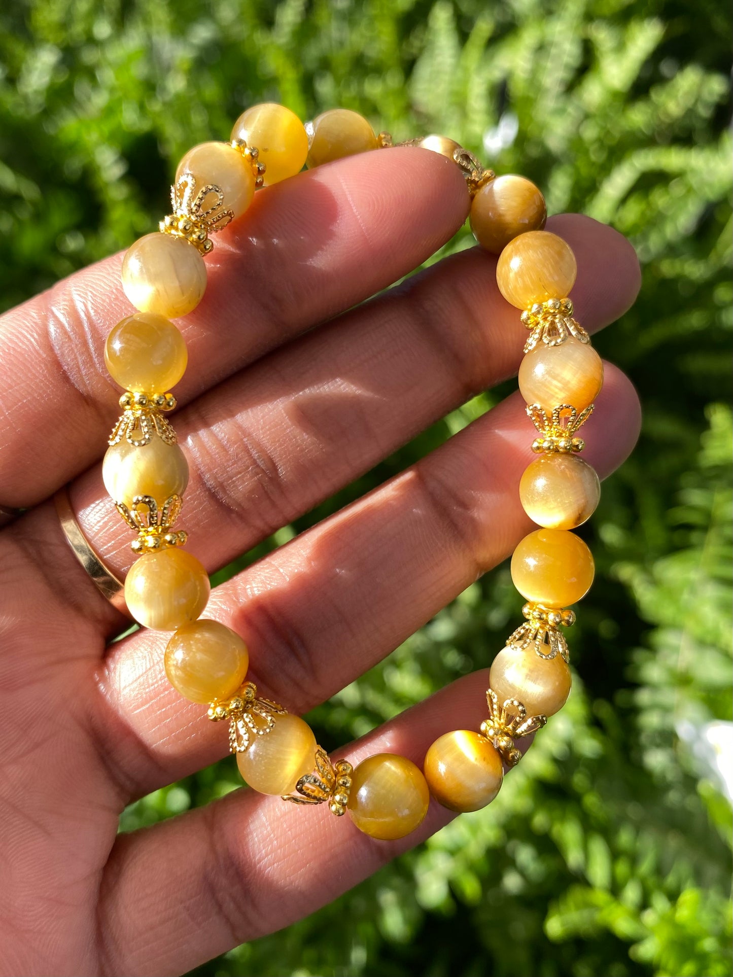 Honey - Tigers Eye